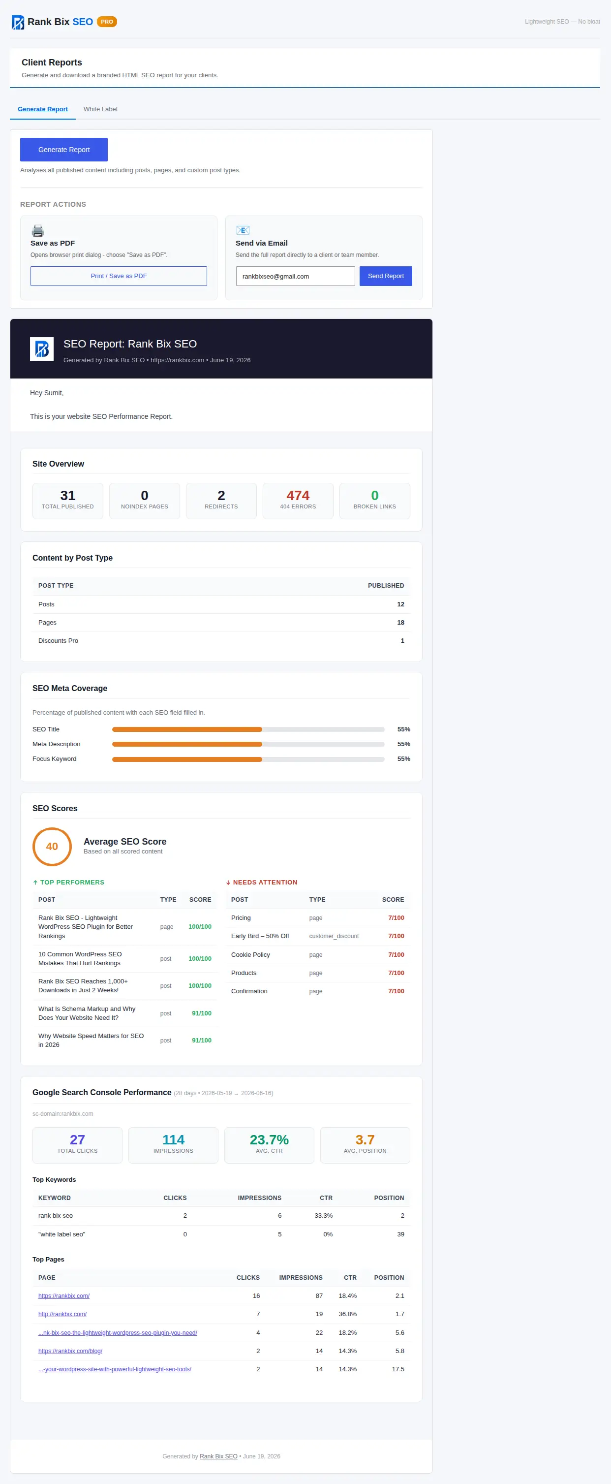 Rank Bix Pro Client Reports — generated SEO performance report for clients